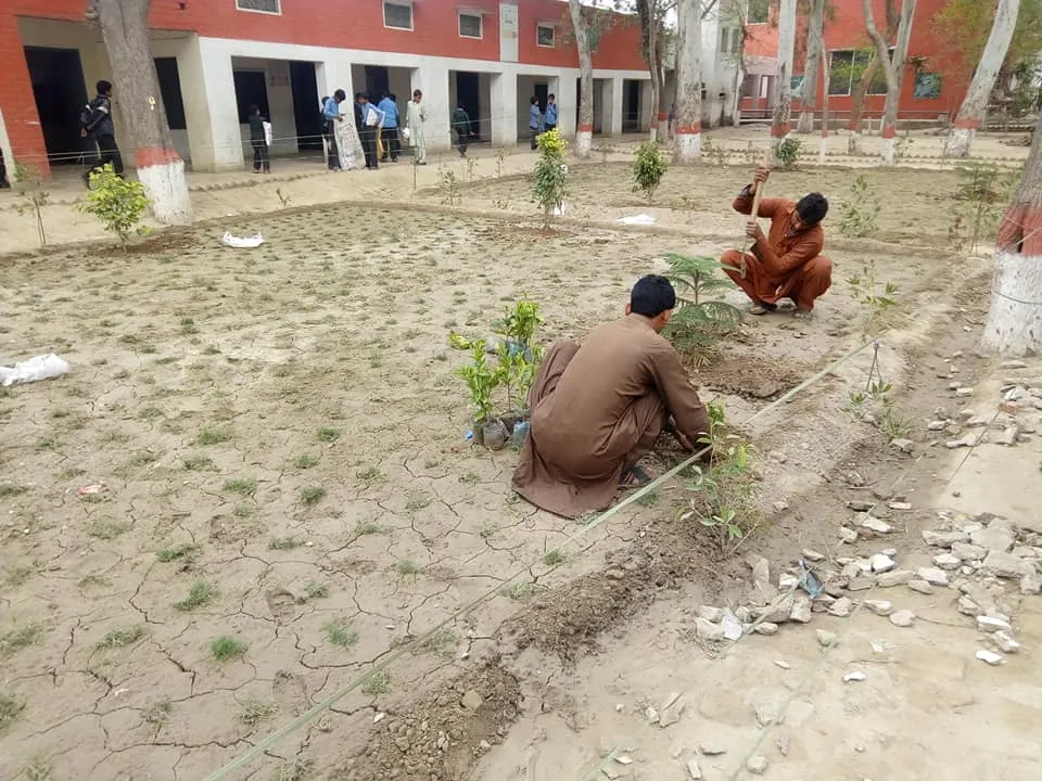 Green Seekers Activity